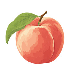 2D flat vector graphic of a Peach in icon style, isolated on white background
