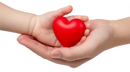 Two hands, one adult and one child, hold a red heart symbolizing love and care, isolated on a white background.