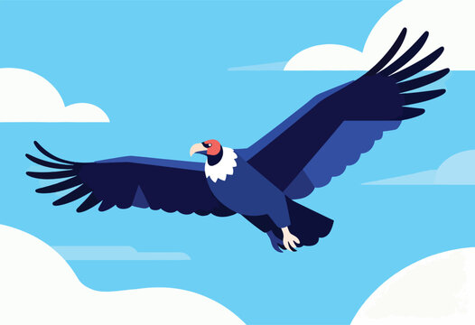Vector illustration of a condor soaring in a blue sky with fluffy clouds. Stylized art with flat colors and shapes