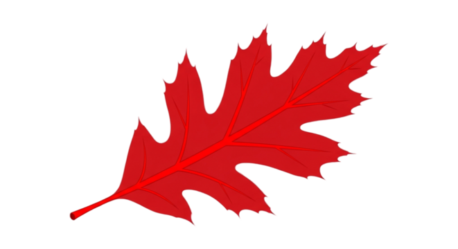 3d icon of vibrant red oak leaf, a symbol of autumn, isolated on transparent background isolated on transparent background - Powered by Adobe