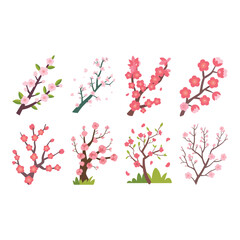 Collection of delicate pink cherry blossom branches in bloom