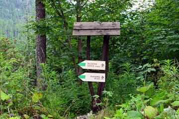 Tourist information board with tourist routes. Mountain signpost on hiking trail.  Mountain trail sign pointing direction on wooden pole in the High Tatras mountains, Bilikova Chata, Slovakia