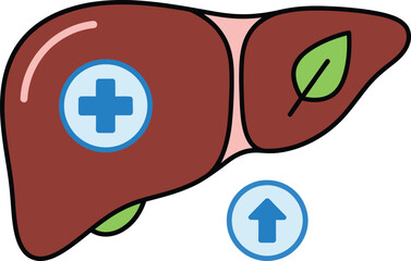 Liver Organ Icon Showing Human Anatomy, Hepatic Function and Digestive Health
