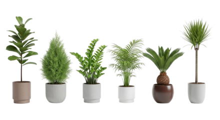 3d icon of collection of various green potted house plants isolated on transparent background isolated on transparent background