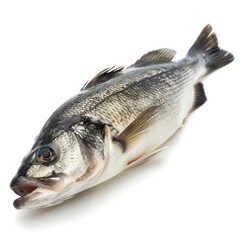 Graceful Antelope Standing in Wilderness