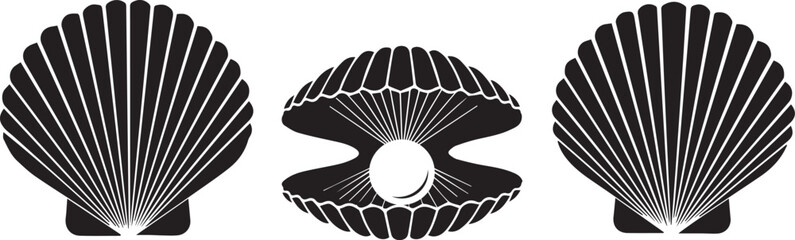 Elegant black and white vector illustration of three scallop shells with a pearl inside one open shell