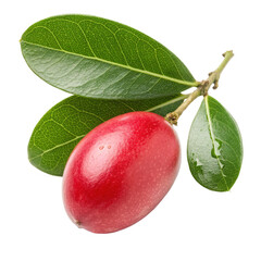 Natal plum with leaves on transparent background in studio shot of tropical fruit