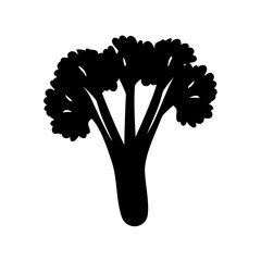 broccoli isolated on white