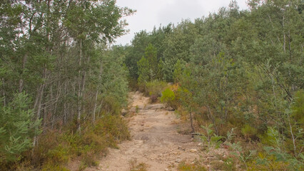 Fototapeta premium hiking trail along pine trees in the mountains of Penada Geres national park, Portugal 