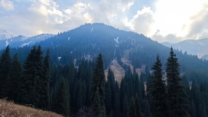 Misty Mountain Landscape with Dense Pine Forest
Serene mountain covered in thick pine forest under a cloudy sky, with misty atmosphere and early snow on the slopes.
