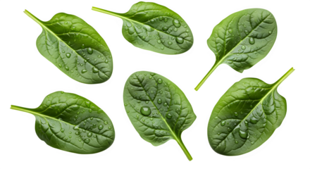 Fresh spinach leaves close up arrangement vibrant green and healthy isolated on transparent background