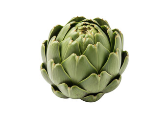 Obraz premium A single, pristine globe artichoke with vibrant green, thick leaves and subtle purple highlights, against a brilliant white, seamless background, concept of natural freshness and healthy eating