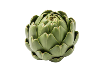 A single, pristine globe artichoke with vibrant green, thick leaves and subtle purple highlights, against a brilliant white, seamless background, concept of natural freshness and healthy eating
