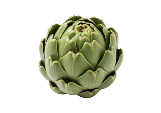 A single, pristine globe artichoke with vibrant green, thick leaves and subtle purple highlights, against a brilliant white, seamless background, concept of natural freshness and healthy eating