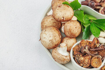 Assortment of various mushrooms - fresh, dried and pickled. Oyster, cremini, porcini and shiitake
