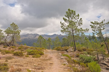 Obraz premium Hiking trail thorugh a mountain landscape in Penada Geres national park, Portugal