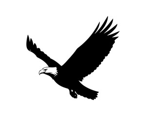 Obraz premium Silhouette of a majestic eagle in flight, symbolizing freedom and power against a white background