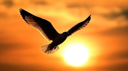 Majestic bird soaring against vibrant sunset sky with stunning golden hues and soft clouds creating a serene backdrop for nature lovers and photographers