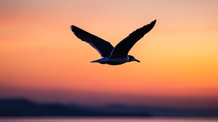 Majestic Bird in Flight Against a Stunning Sunset Sky with Vibrant Colors and Soft Clouds Reflecting on Water Surface in Natural Landscape