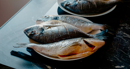 Fresh sea bream seasoned for cooking on plate, seasoned and prepared for culinary transformation with aromatic herbs and spices