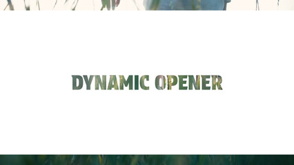 Dynamic Opener Template