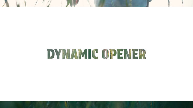 Dynamic Opener Template