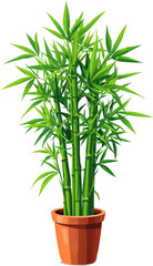 Potted Bamboo Plant PNG – Indoor Plant Transparent Background