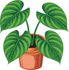 Green Plant PNG – Transparent Botanical Illustration