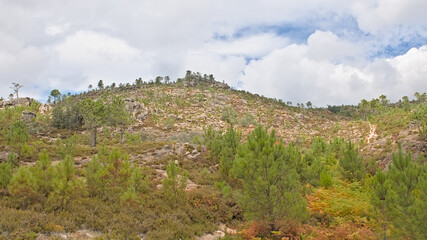 Fototapeta premium Mountain landscape with rocks and pine trees in Penada-Geres national park, Portugall 