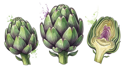 Obraz premium Delicious artichokes hand-painted with watercolor detail in vibrant greens and purples, perfect for healthy eating, fresh produce and culinary inspiration