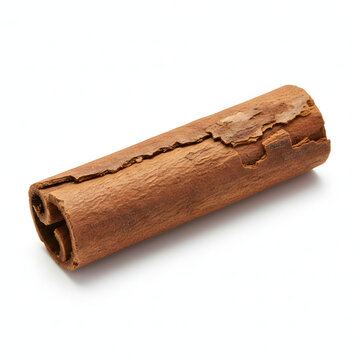 Single Cinnamon Cassia Stick Bark Texture Isolated on White Background
