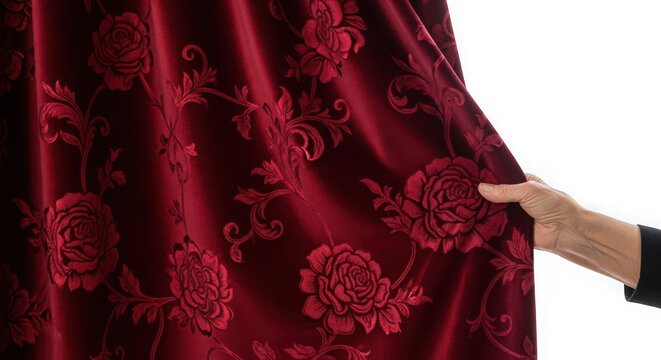 Hand pulling ornate red curtain with rose pattern, luxury fabric isolated on transparent background