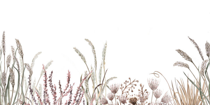 A seamless border with steppe grasses and flowers. Isolated watercolor illustration for eco-projects, eco-park tickets, packaging, and interior design.