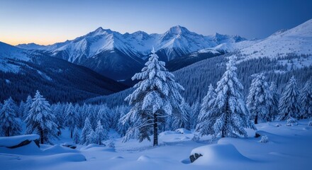 Blue Hour Stillness: Snow-Laden Pines Before a Majestic Mountain Range