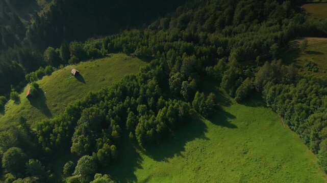 High altitude panoramic flight aerial footage over the wild hills of Bran near Simon village, hidden hay meadows and isolated animal shelters surrounded by dense forest in summer Romania, eco tourism