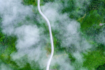 Aerial view of asphalt road crossing through green forest covered by heavy white clouds.