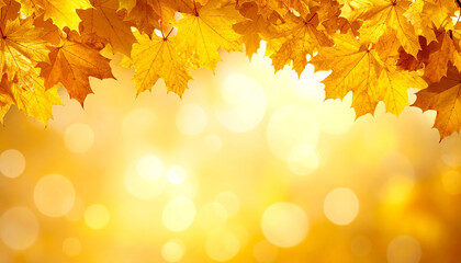 Fototapeta premium 黄金色の紅葉が敷き詰められた上部フレーム