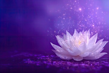 White lotus with glowing specks on a textured, dark purple surface