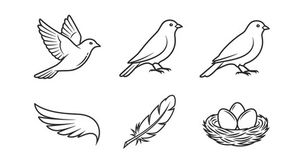 Bird Illustrations Flying Perched Wing Feather and Nest.