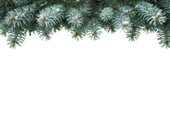 detailed emerald fir branches heavily covered in crystalline rime ice and snow, sharp macro focus, top border arrangement against a pure high-key white background with vast copy space. minimalist