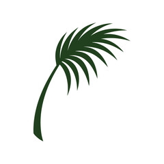 Simple green palm leaf frond icon or logo element tropical plant vector Vector