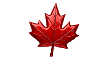 A glossy red maple leaf with detailed veins isolated on a stark black background for contrast effect