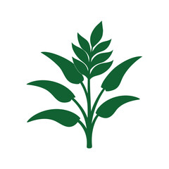 Obraz premium Stylized green grain plant icon representing agriculture and natural growth Vector