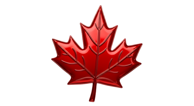 A glossy red maple leaf with detailed veins isolated on a stark black background for contrast effect