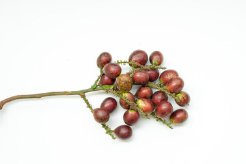 A cluster of fresh Matoa fruits (Pometia pinnata) attached to a woody branch, featuring purple and brownish skin with one unripe green fruit, isolated on a white background.