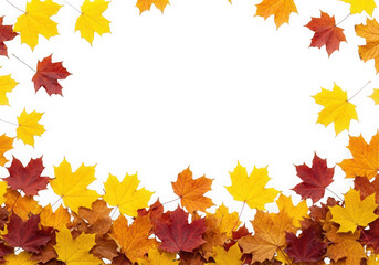 Vibrant autumn maple leaves in of red, orange, yellow forming a decorative border, isolated on transparent background