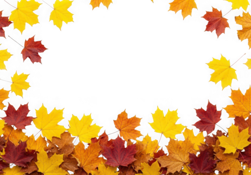 Vibrant autumn maple leaves in of red, orange, yellow forming a decorative border, isolated on transparent background