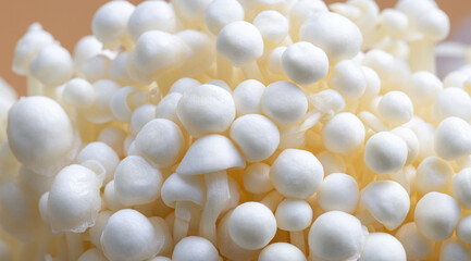 Macro close-up of enoki mushroom,A close up of a bunch of white mushrooms. The mushrooms are all different sizes and are clustered together. The image has a peaceful and calming mood.