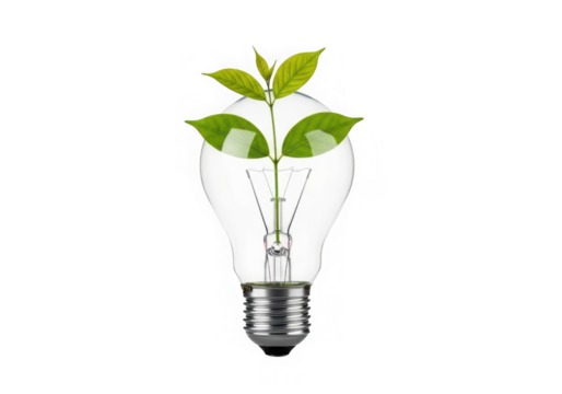 Green plant growing inside a light bulb, symbolizing ecofriendly energy sustainable innovation, isolated on white isolated on transparent background - Powered by Adobe