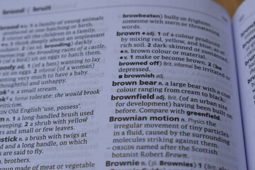 Obraz premium Close Up Of English Definition Dictionary Page Word Of - brown bear